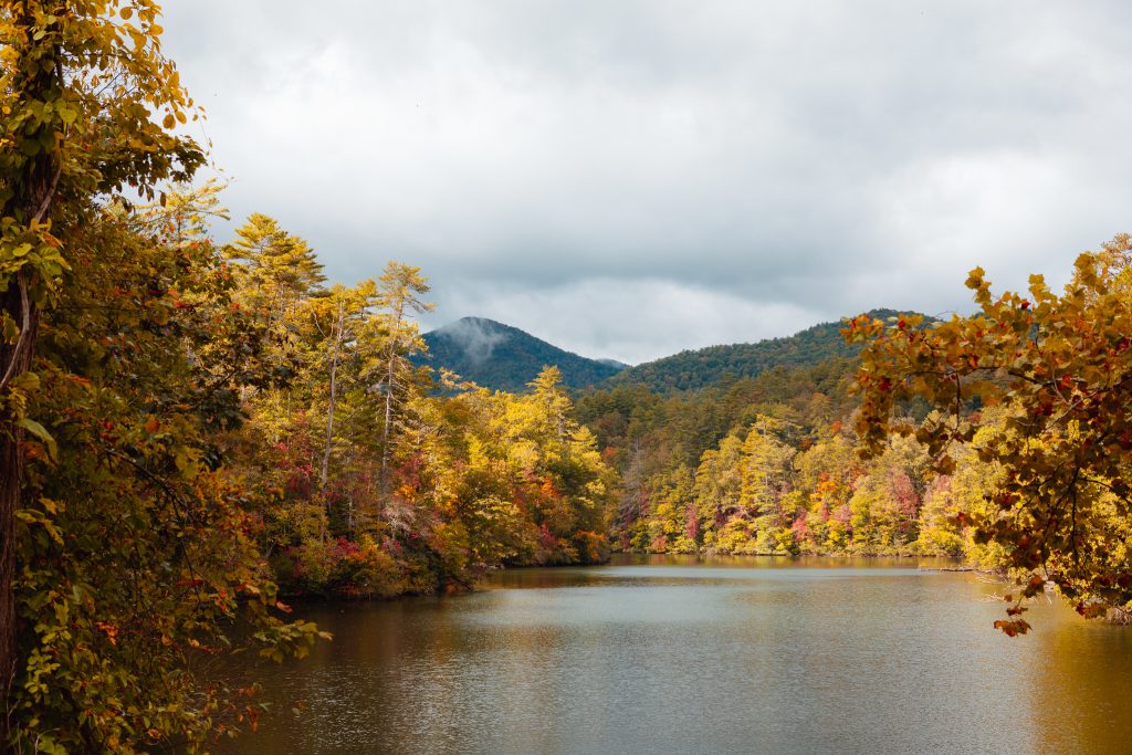 Calling All Leaf Lookers Where to get the Best Fall Views in & around